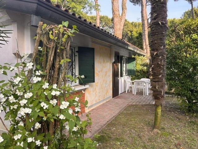 Villaggio Azzurro Lido di Jesolo Eksteriør bilde